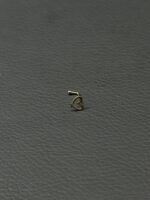پرسینگ قلب - تصویر 3