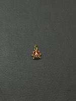 پلاک کفشدوزک - تصویر 3